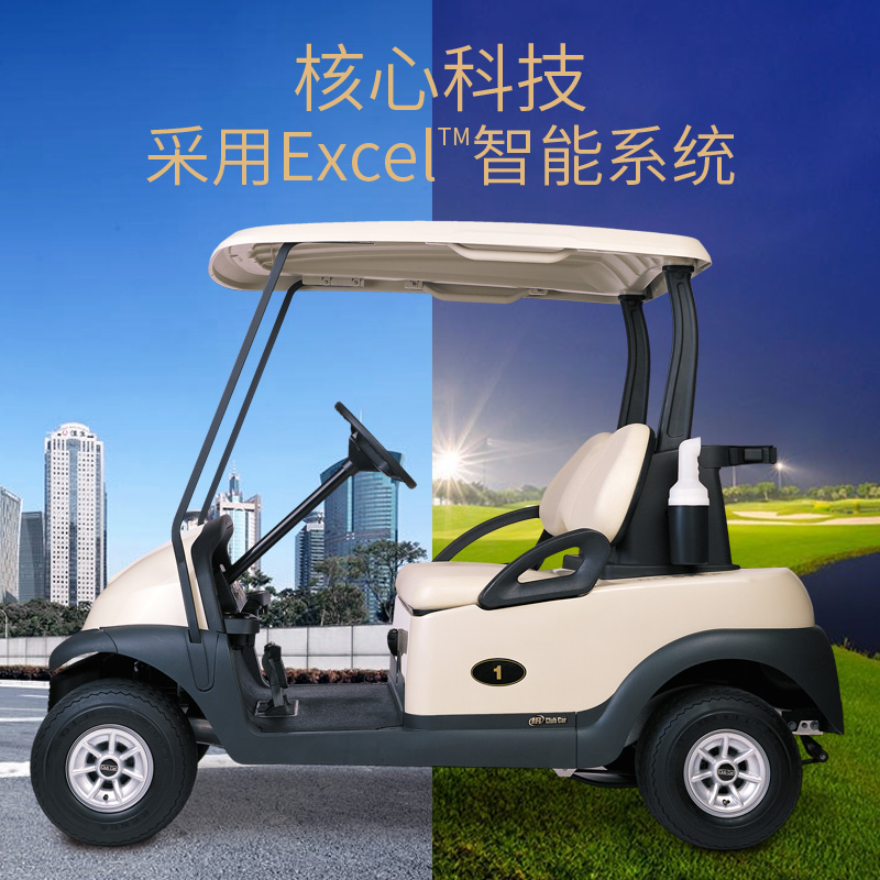 两座高尔夫球车_米黄色_进口高尔夫球车_先驱_Precedent i2_Club Car